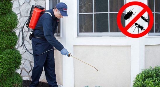 Karamanlı Bit İlaçlama böcek ilaçlama ve haşere kontrolü — ilaclama-tr.com
